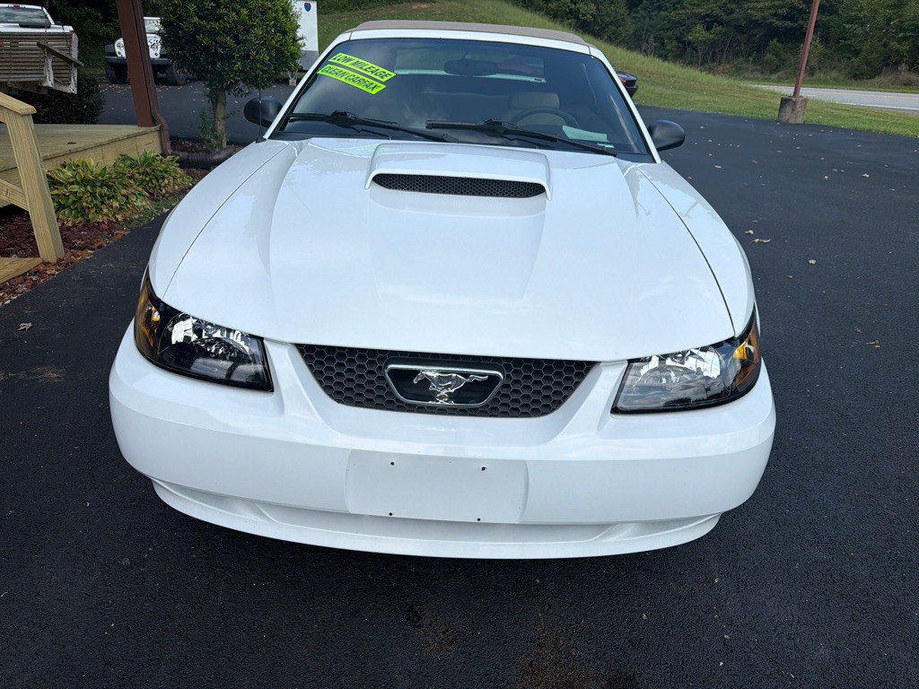 2001 Ford Mustang Image 3
