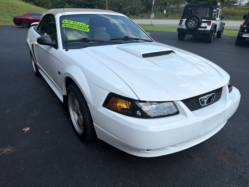2001 Ford Mustang Image 4