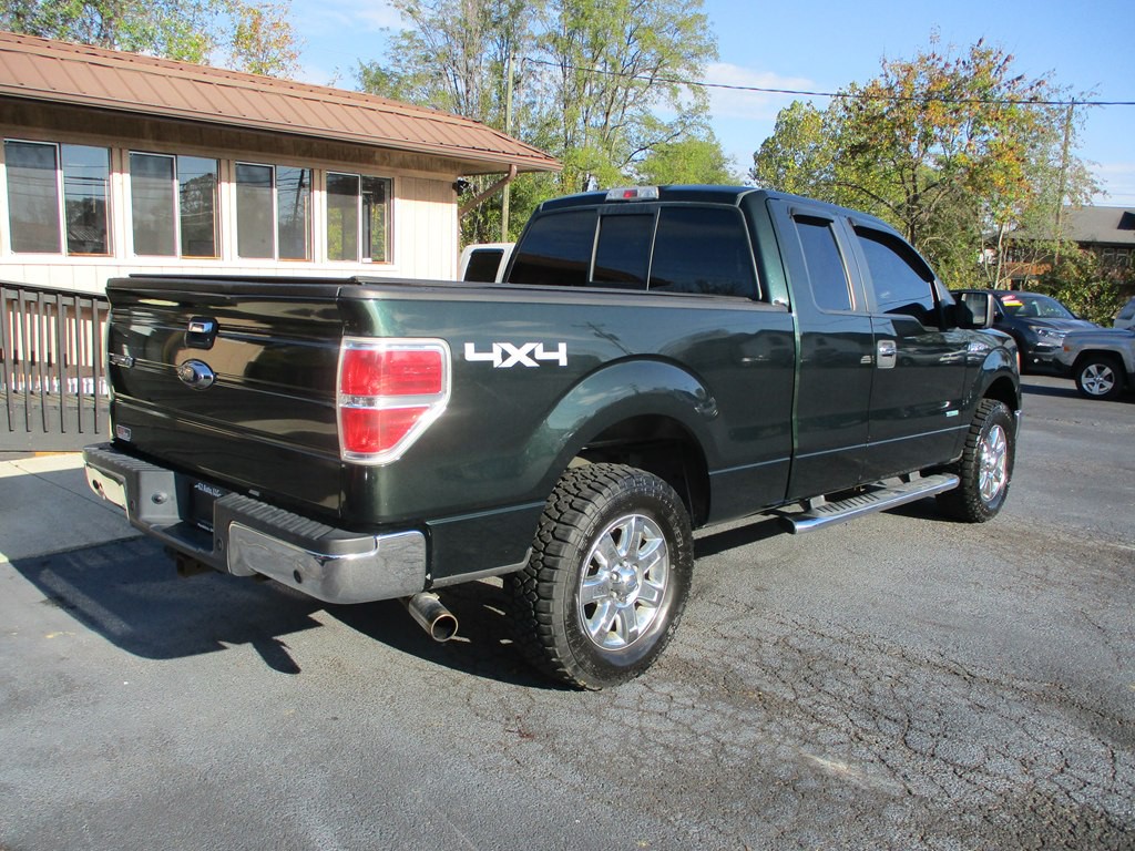 2013 Ford F-150 Image 4