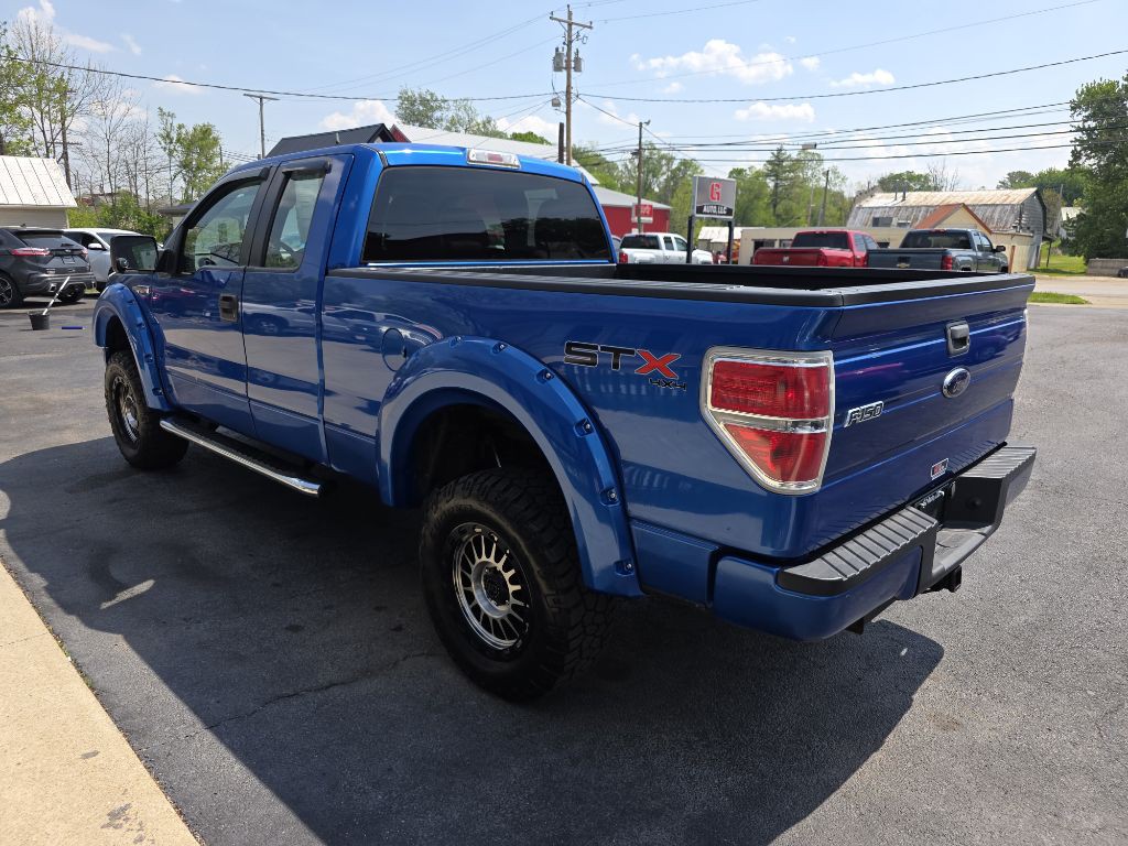 2010 Ford F-150 Image 3