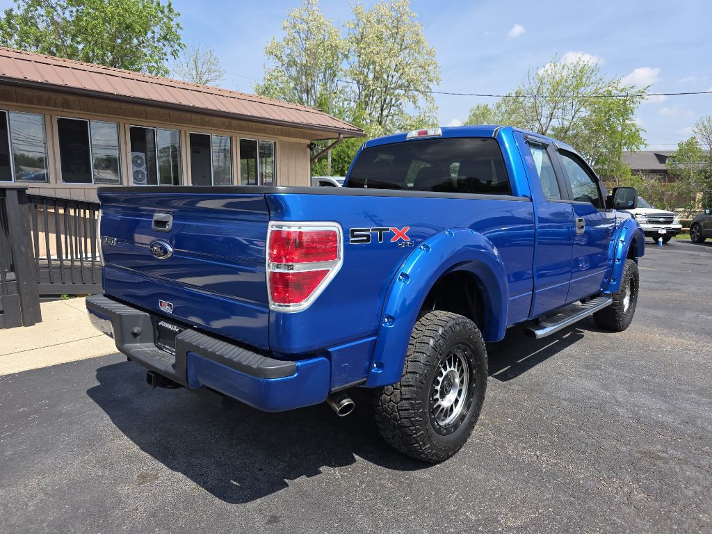 2010 Ford F-150 Image 4