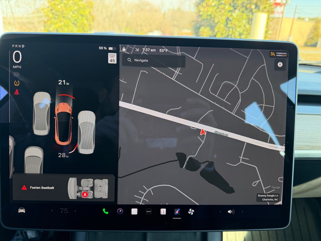 2021 Tesla Model 3 Image 29