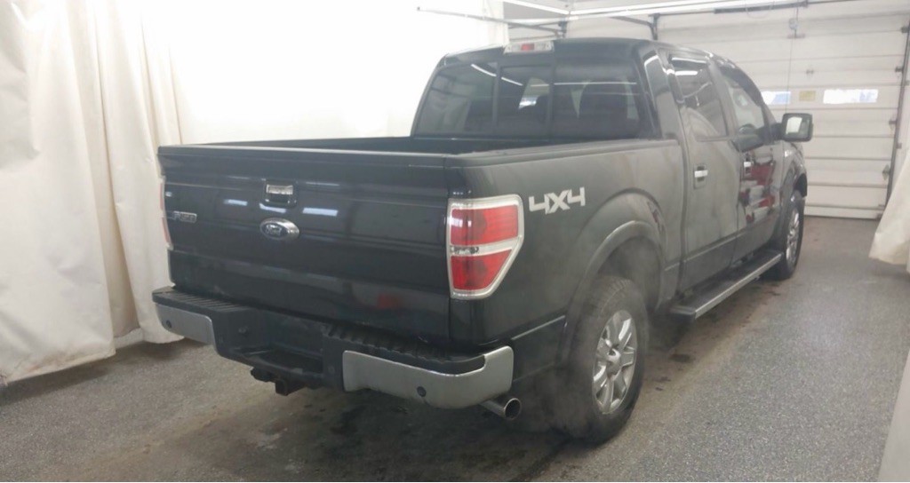 2014 Ford F-150 Image 4