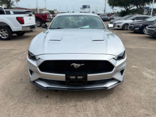 Image for 2019 Ford Mustang Ecoboost ID: 6989171