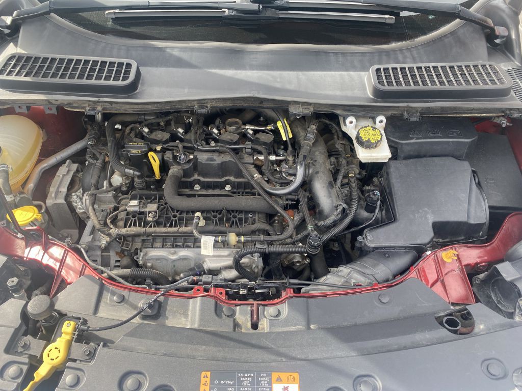 2019 Ford Escape Image 14