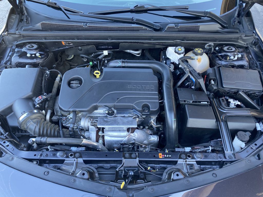 2023 Chevrolet Malibu Image 13