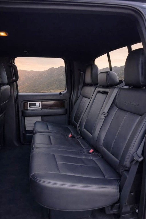 2014 Ford F-150 Image 12