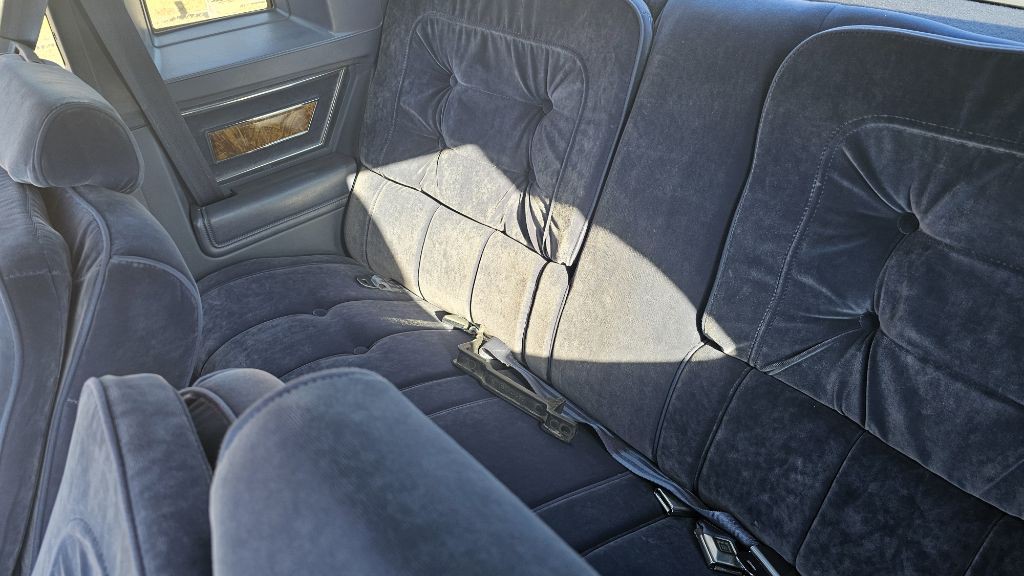 1984 Buick Regal Image 12