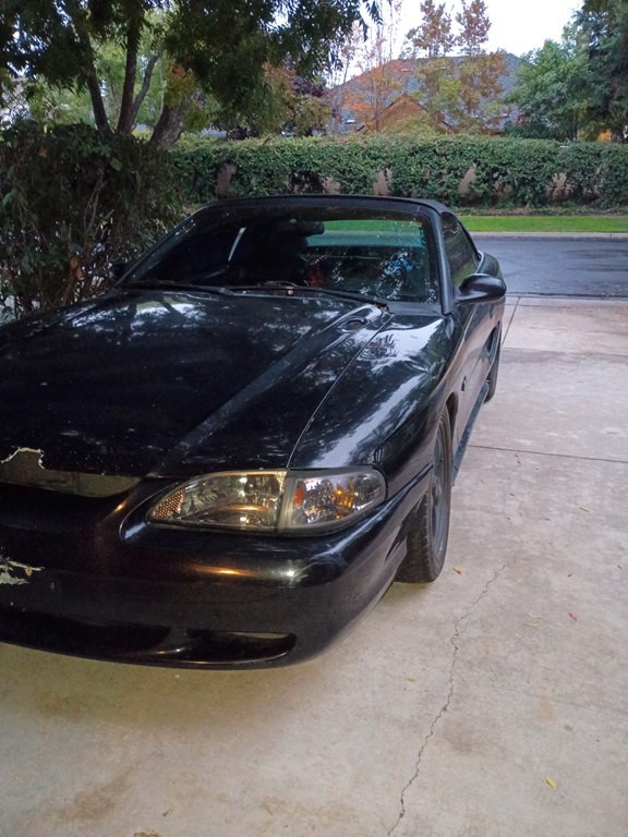 1995 Ford Mustang Image 1