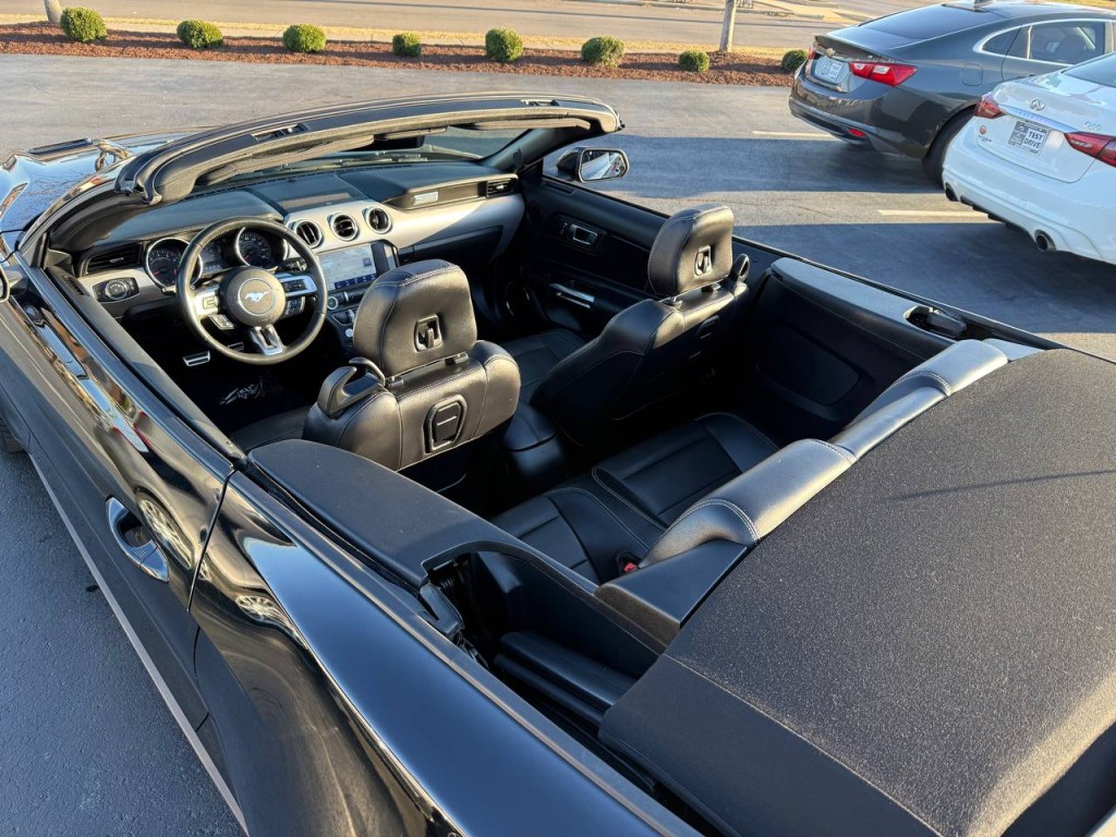 2019 Ford Mustang Image 11