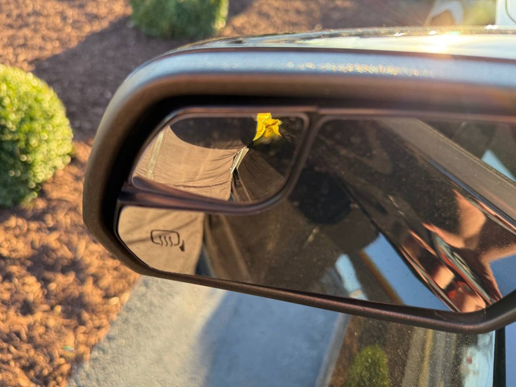 2019 Ford Mustang Image 13