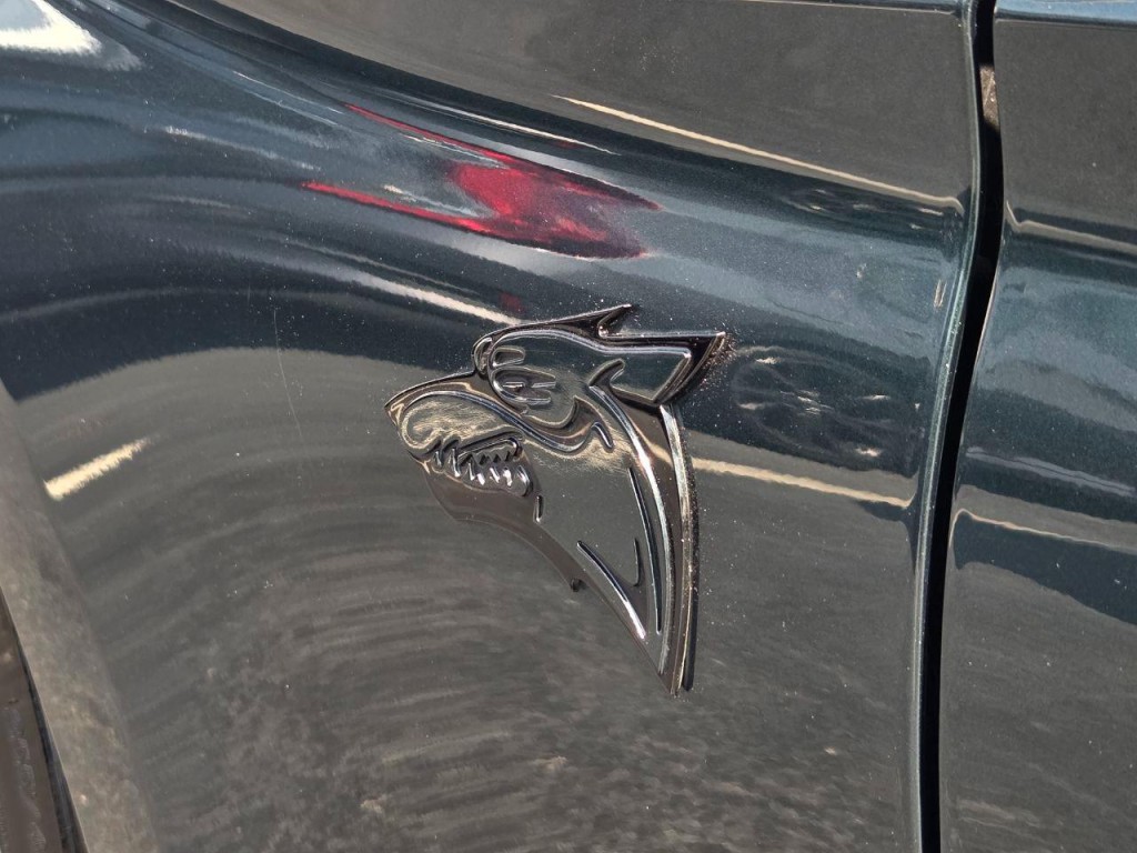 2019 Ford Mustang Image 8