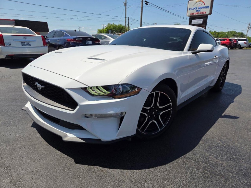 2019 Ford Mustang Image 2