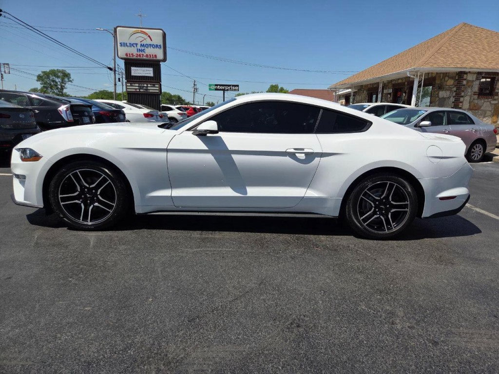 2019 Ford Mustang Image 3