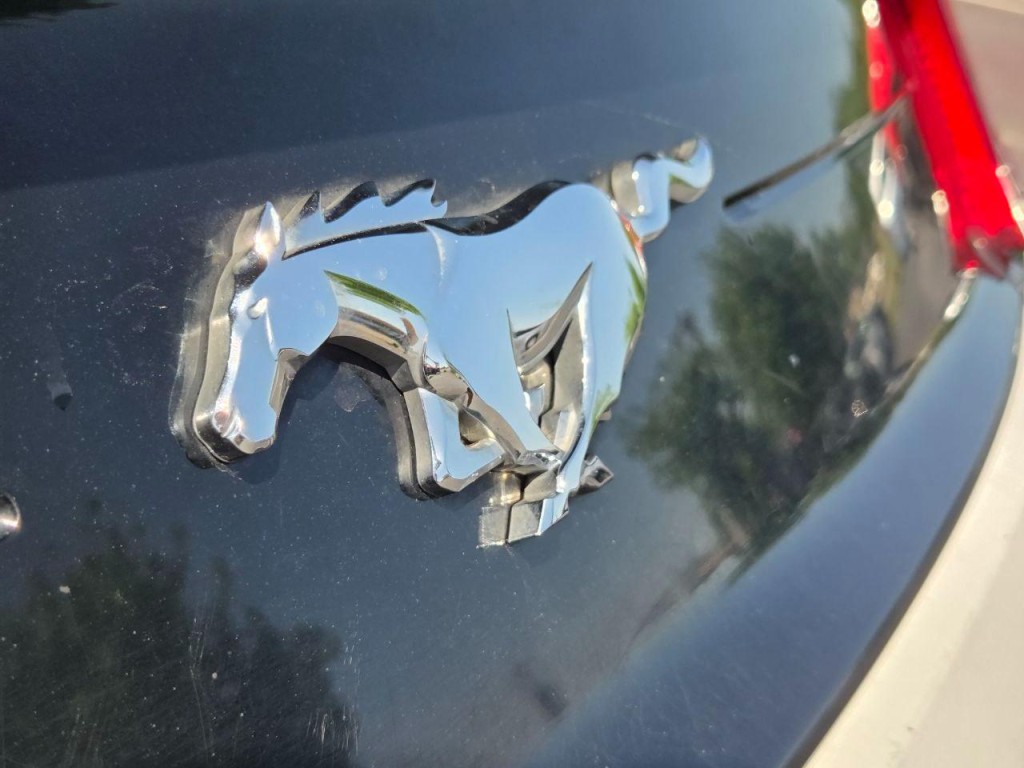 2019 Ford Mustang Image 8