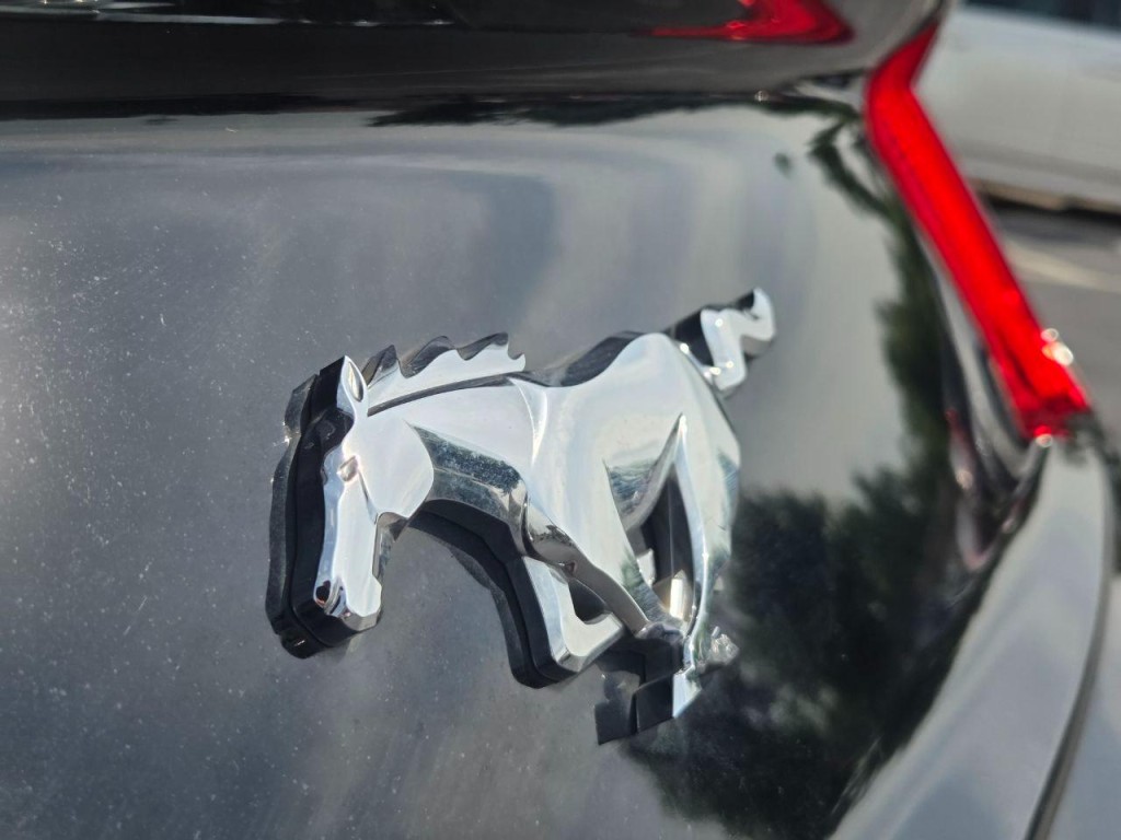 2019 Ford Mustang Image 8