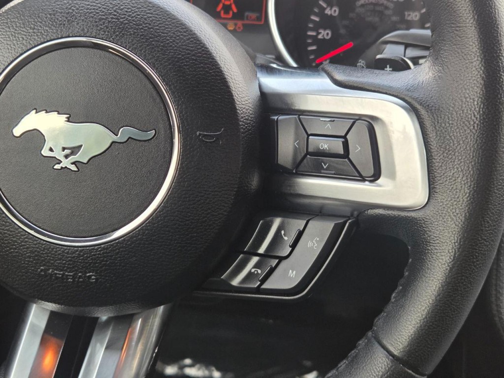2019 Ford Mustang Image 21