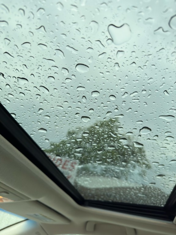 2006 Toyota Avalon Image 15