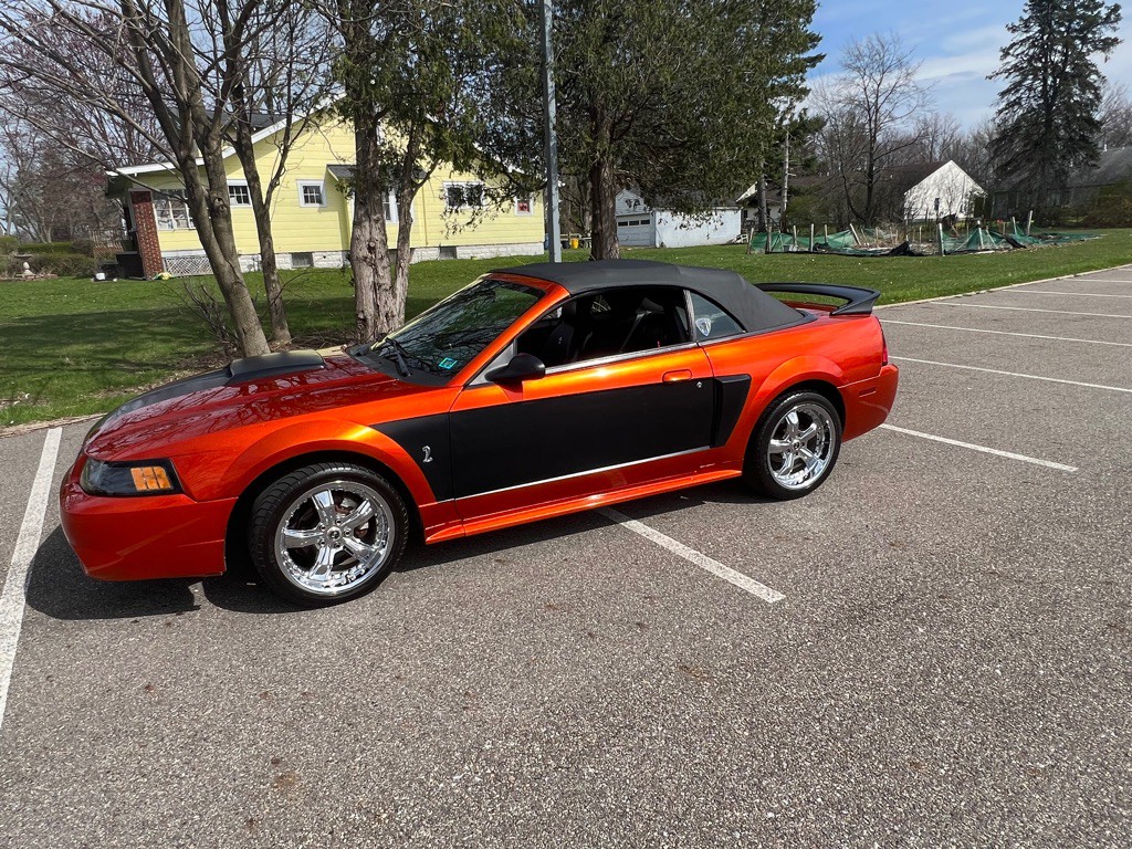 2003 Ford Mustang Image 5