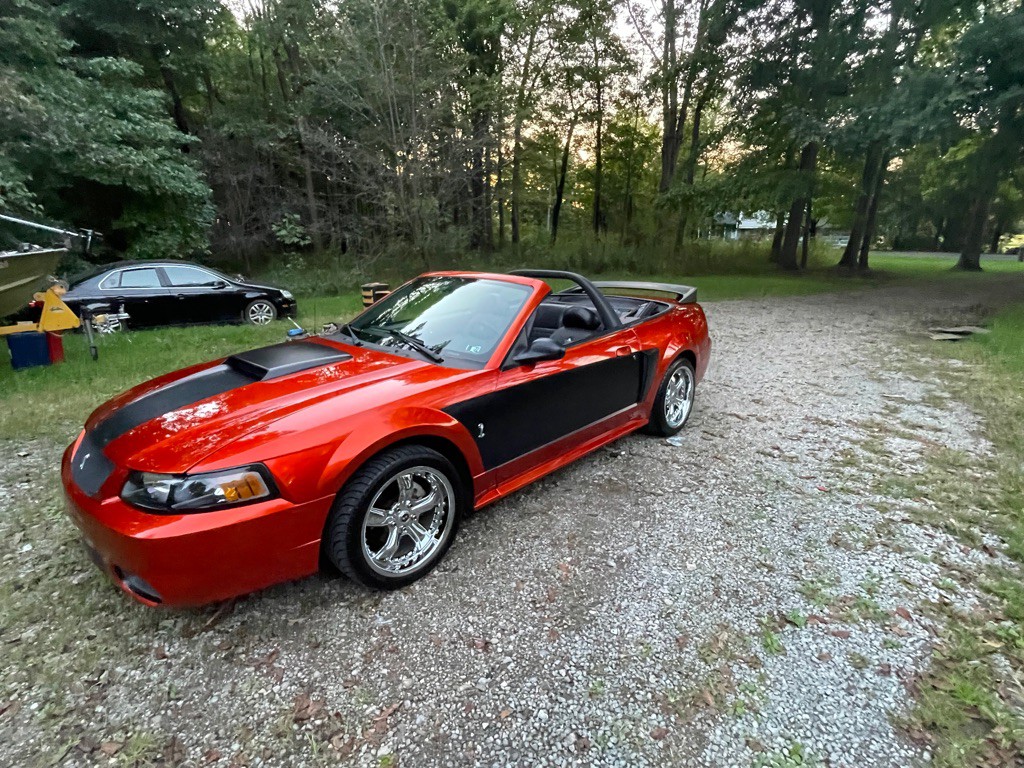 2003 Ford Mustang Image 7