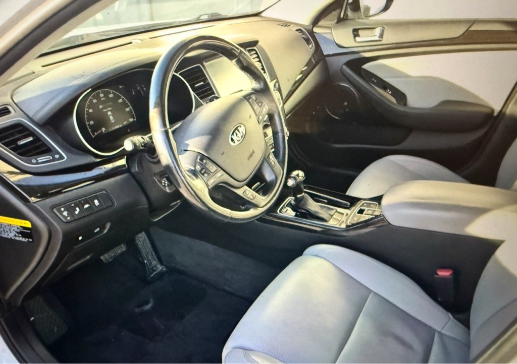 2014 Kia Cadenza Image 8