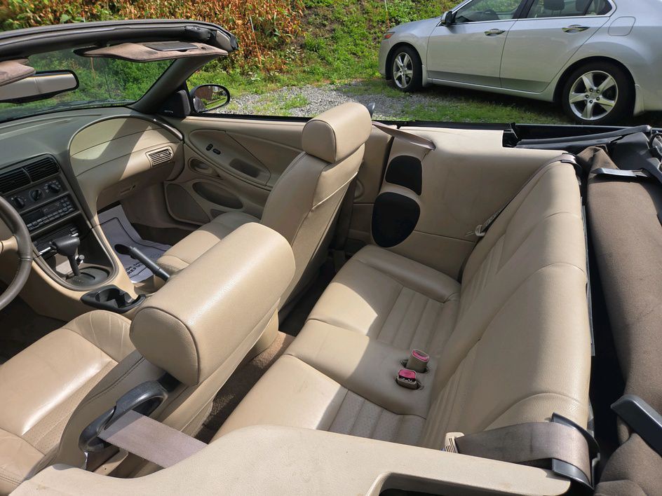 1999 Ford Mustang Image 11