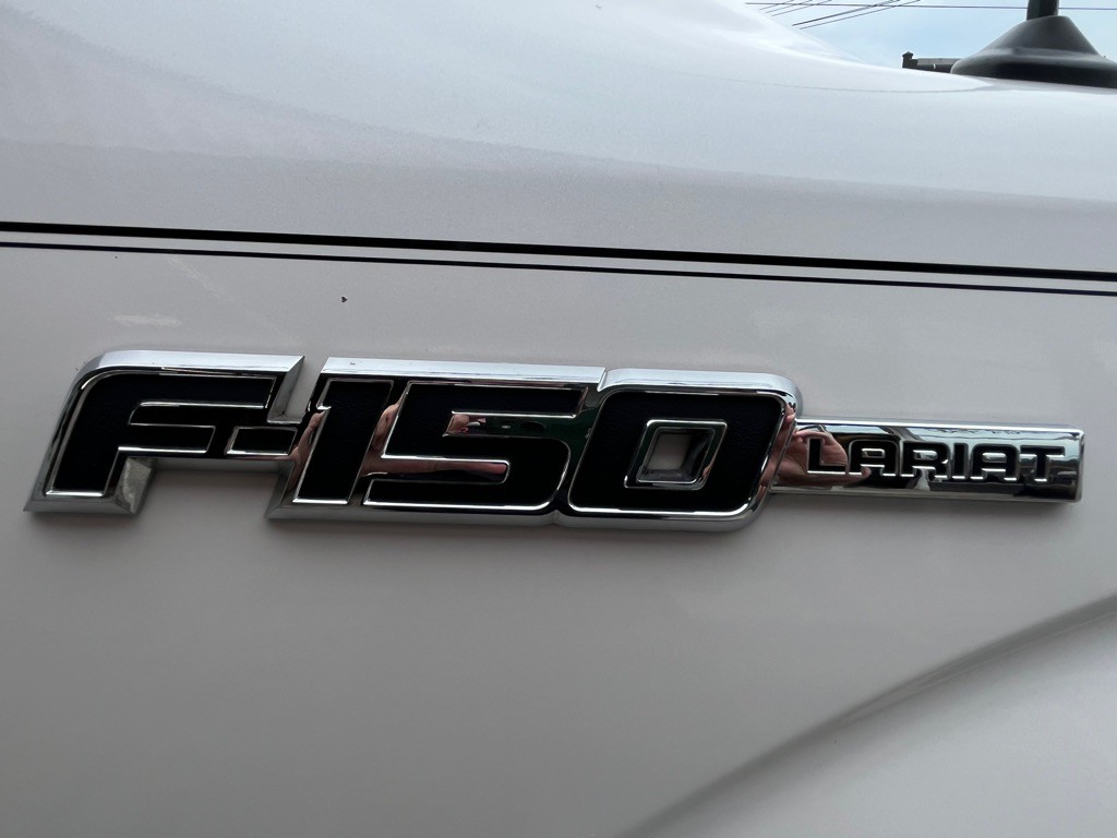 2010 Ford F-150 Image 6