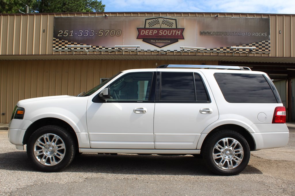2013 Ford Expedition Image 1