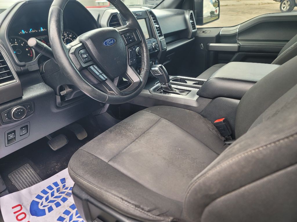 2019 Ford F-150 Image 3