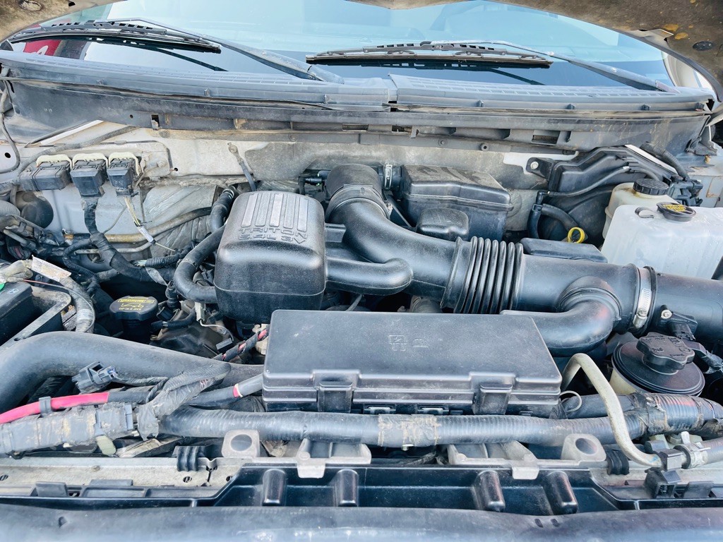 2010 Ford F-150 Image 2