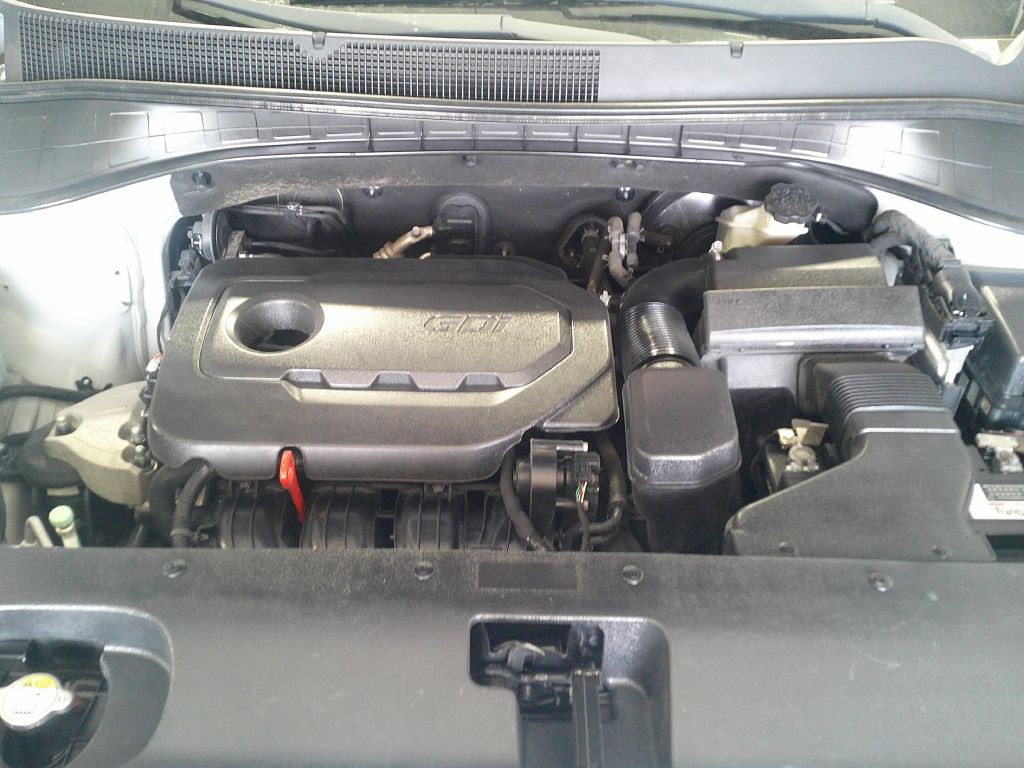 2016 Kia Sorento Image 7