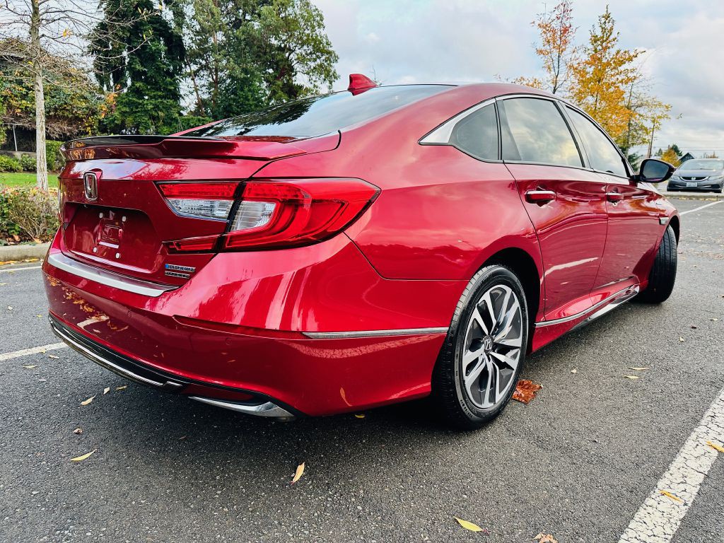 2019 Honda Accord Image 5