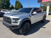 Image for 2018 Ford F-150 Raptor ID: 6897471