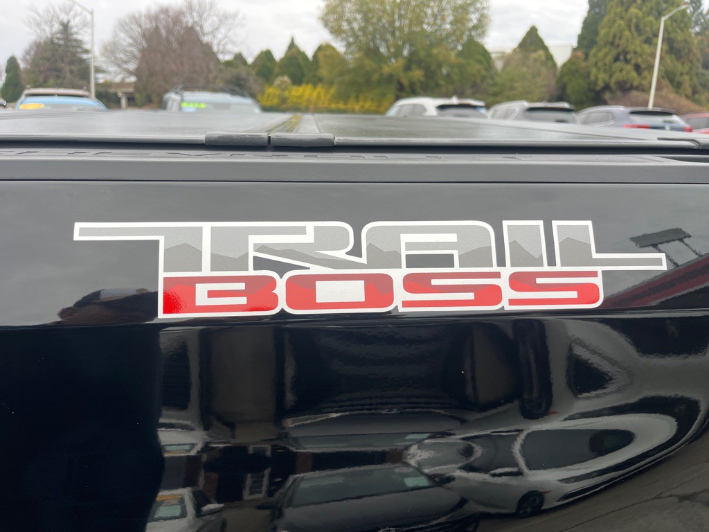 2019 Chevrolet Silverado 1500 Image 9