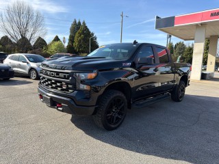 Image for 2023 Chevrolet Silverado 1500 Trail Boss Custom ID: 7273283