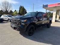 Image for 2023 Chevrolet Silverado 1500 Trail Boss Custom ID: 7273283