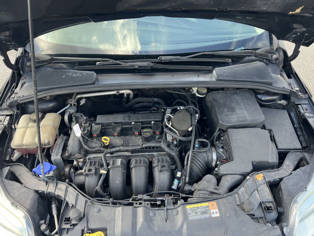 2014 Ford Focus Image 16