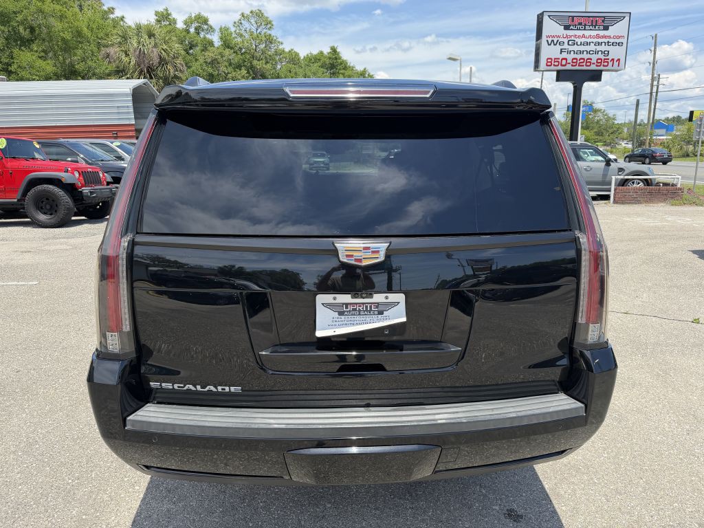 2019 Cadillac Escalade Image 6