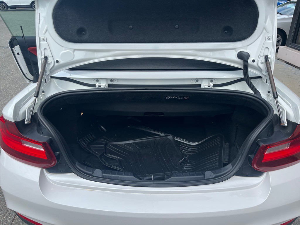 2016 BMW 2 Series Image 20
