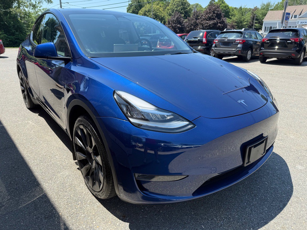 2023 Tesla Model Y Image 4