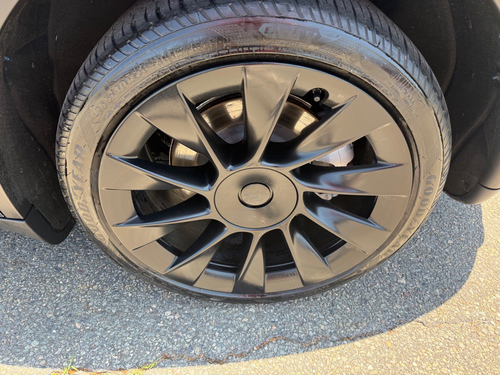 2023 Tesla Model Y Image 7