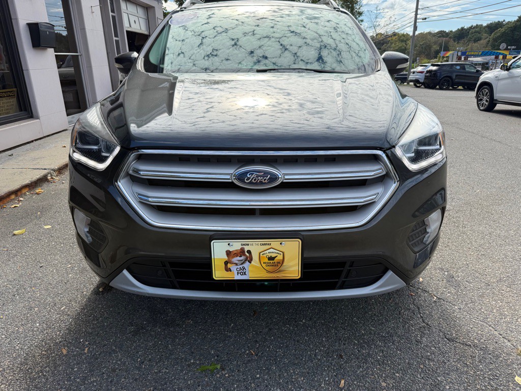 2019 Ford Escape Image 5