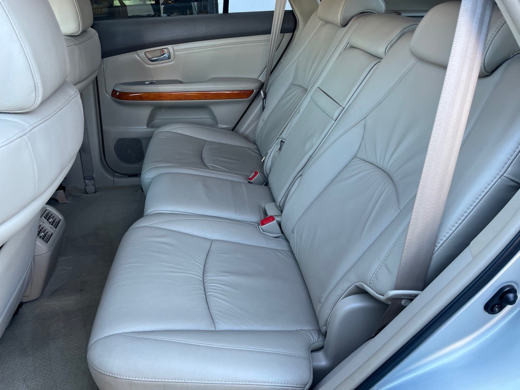2009 Lexus RX Image 18