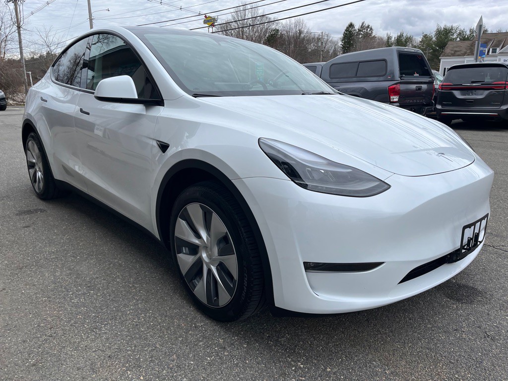 2024 Tesla Model Y Image 4