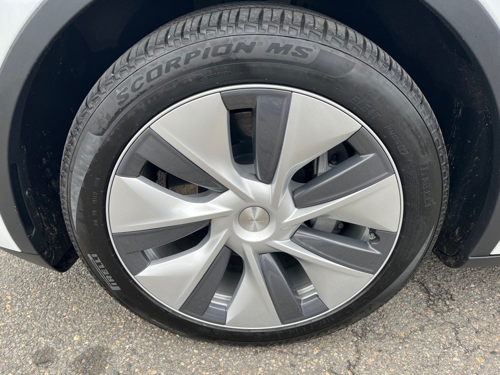 2024 Tesla Model Y Image 6