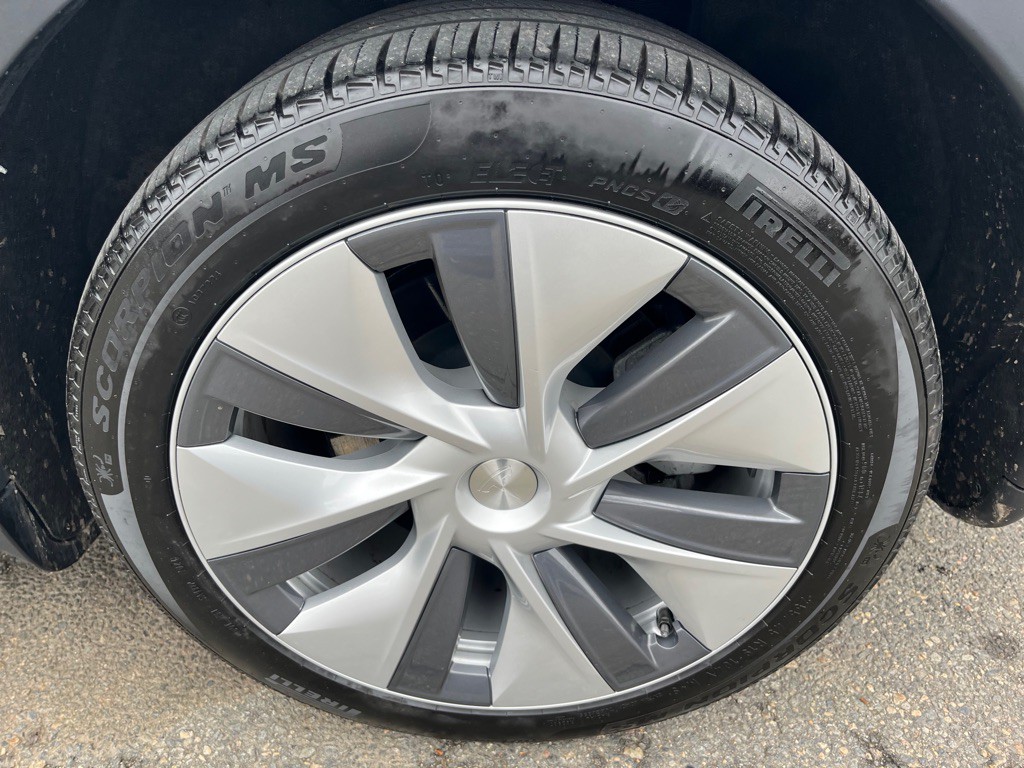 2024 Tesla Model Y Image 7