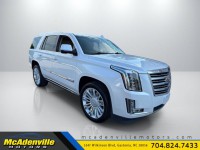 Image for 2016 Cadillac Escalade Platinum ID: 6713625