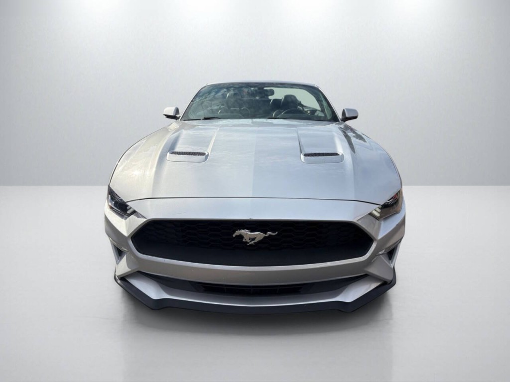 2019 Ford Mustang Image 2