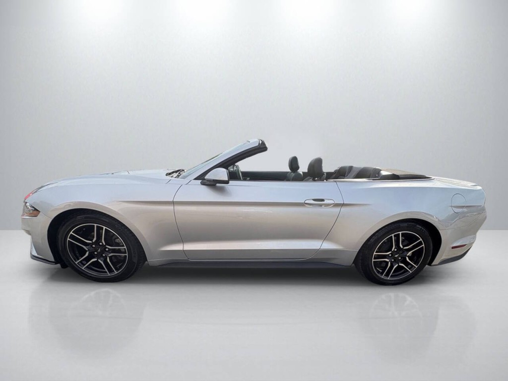 2019 Ford Mustang Image 4