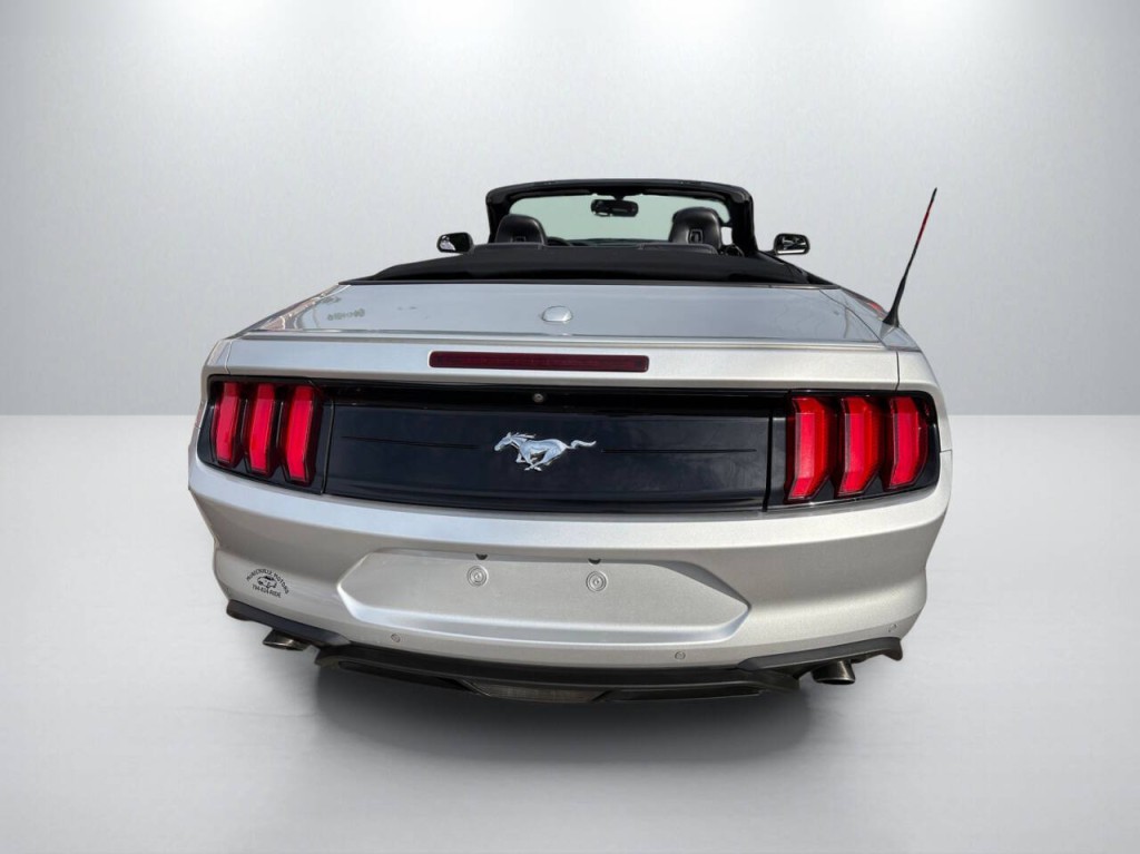 2019 Ford Mustang Image 6
